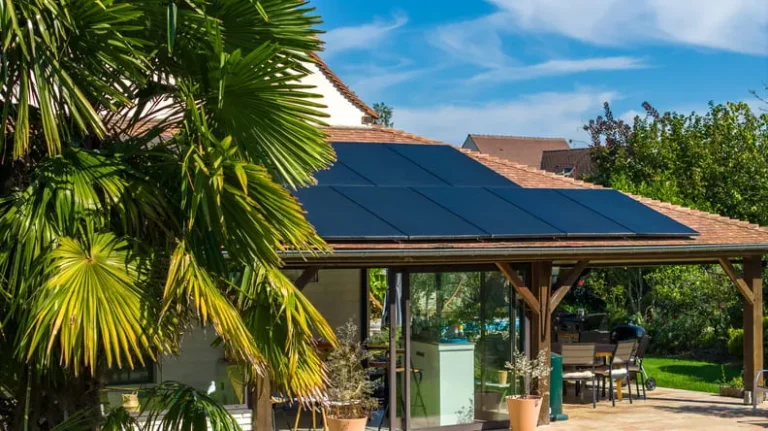 panneaux-photovoltaiques_palmier-avec-toit-panneaux-solaires